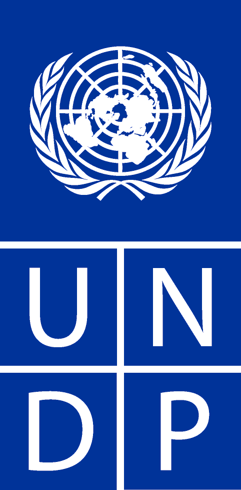 البرنامج الإنمائي للأمم المتحدة undp